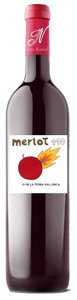 Image of Wine bottle 110 Merlot